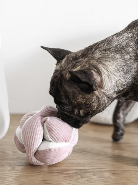 Jouet interactif pour chien - Monti - Rose