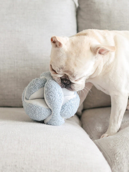 Jouet interactif pour chien - Monti - Bleu Ciel
