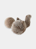 Jouet design en forme de balle pour chien - squirrel pop