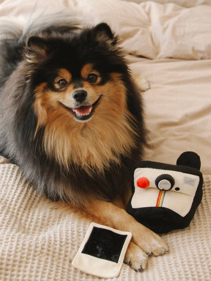 Jeu d'occupation pour chien - Photo instantané - Lambwolf Collective