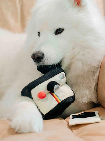 Jeu d'occupation pour chien - Photo instantané - Lambwolf Collective