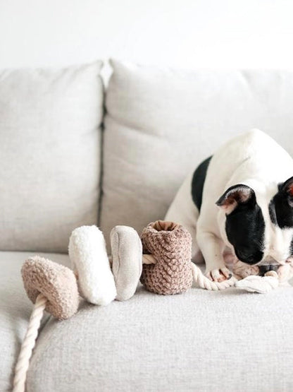 Jouet interactif pour chien