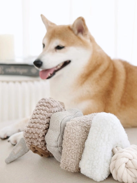 Jouet interactif pour chien