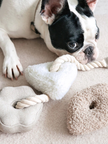 Jouet interactif pour chien -  Blocs Nosework - Nude