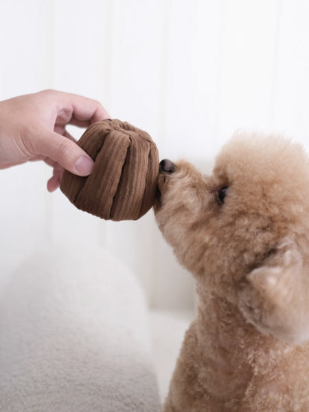 Jeu de fouille interactif pour chien - Cannelé