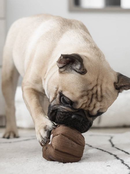 Jeu de fouille interactif pour chien - Cannelé
