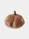 Jouet interactif pour chien - cinderella nosework