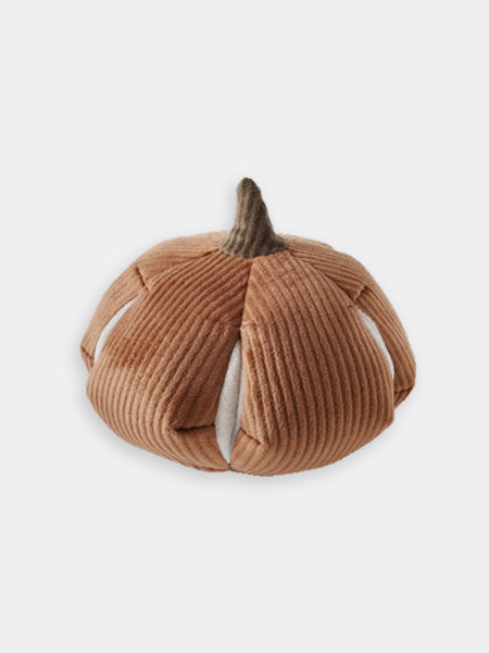 Jouet interactif pour chien -  Cinderella Nosework
