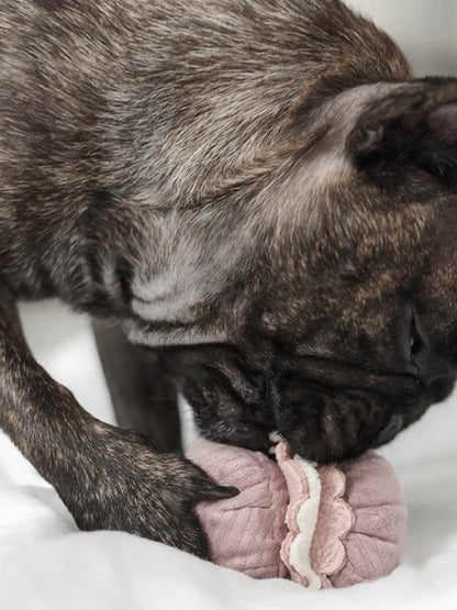 Jeu de fouille interactif pour chien - Macaron et Madeleine