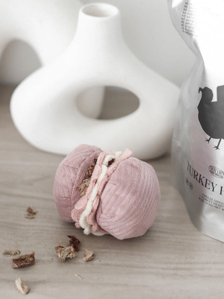 Jeu de fouille interactif pour chien - Macaron et Madeleine