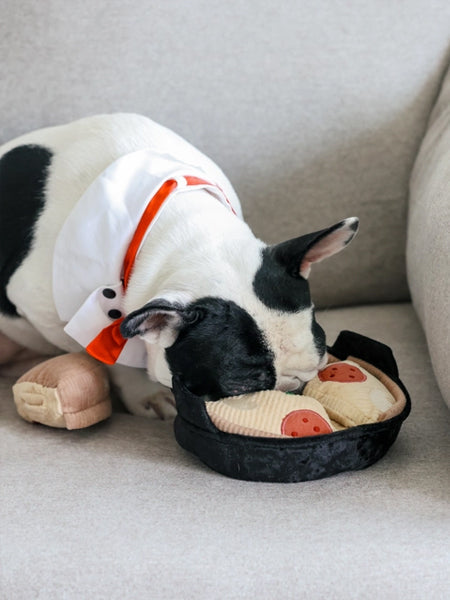 Jeu d'occupation pour chien - Pizza 🍕 - Lambwolf Collective