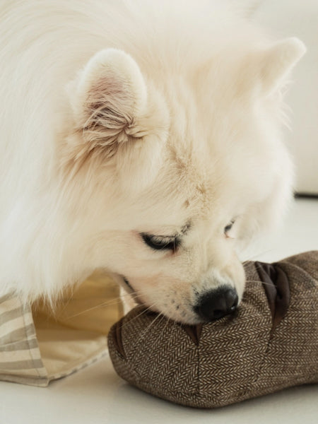 Jeu d'occupation pour chien - Pain complet - Lambwolf Collective