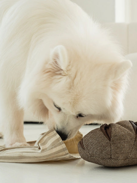 Jeu d'occupation pour chien - Pain complet - Lambwolf Collective