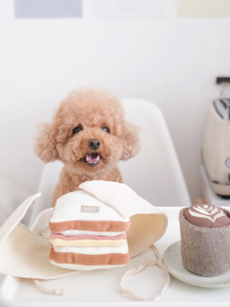 Jeu d'occupation pour chien - Club Sandwich 🥪 - Lambwolf Collective