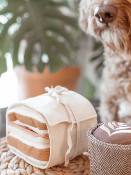Jeu d'occupation pour chien - Club Sandwich 🥪 - Lambwolf Collective
