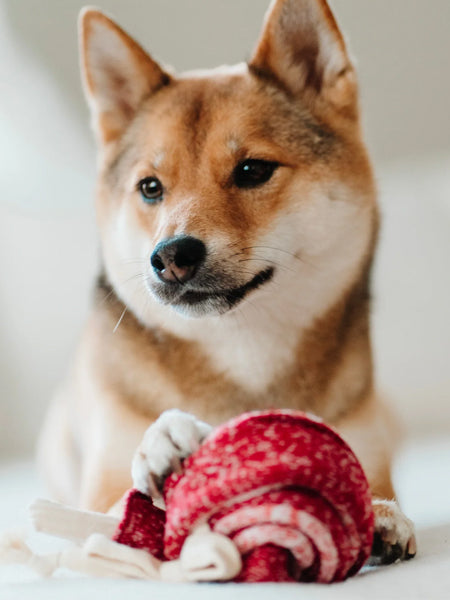 Jeu d'occupation pour chien - Sucette 🍭 - Lambwolf Collective