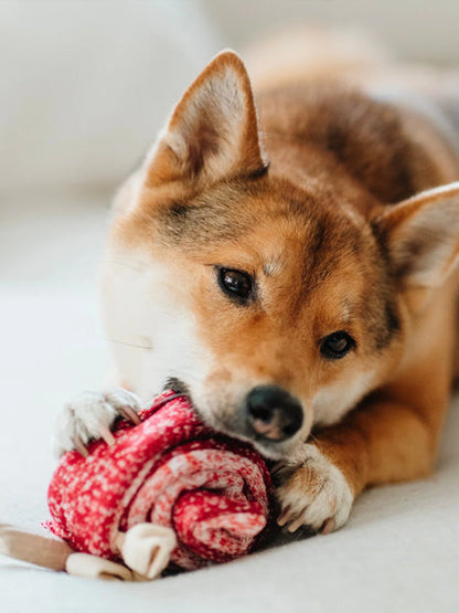 Jeu d'occupation pour chien - Sucette 🍭 - Lambwolf Collective