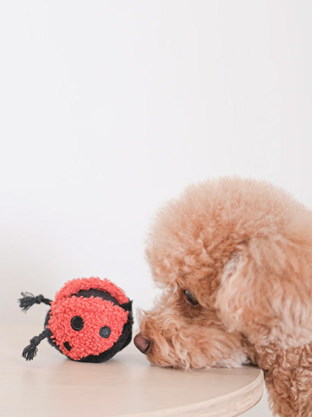Jouet design en forme de balle - Ladybug POP 🐞 - Lambwolf Collective