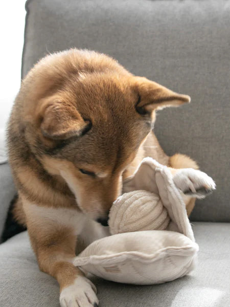 Jouet interactif pour chien