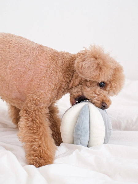 Jouet d'occupation pour chien - Toto - Bleu Ciel