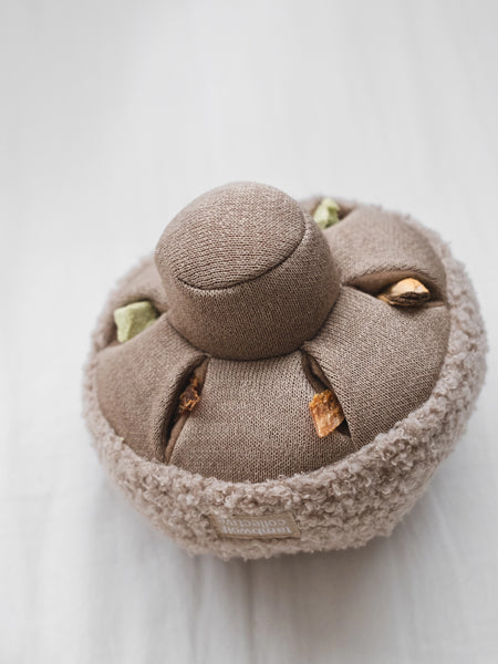 Jouet interactif pour chien - Mushroom Nosework