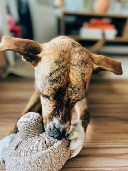 Jouet interactif pour chien - Mushroom Nosework