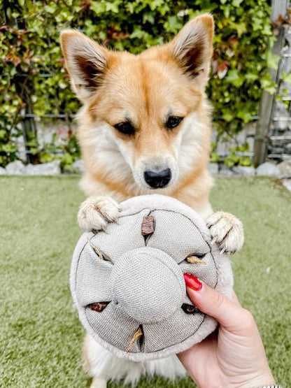 Jouet interactif pour chien - Mushroom Nosework
