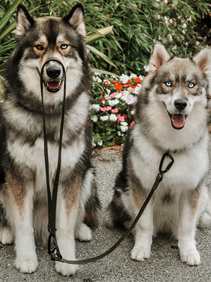 Laisse waterproof MELLEM X pour chien - Black - Lambwolf Collective
