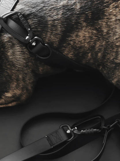 Laisse waterproof MELLEM X pour chien - Black - Lambwolf Collective