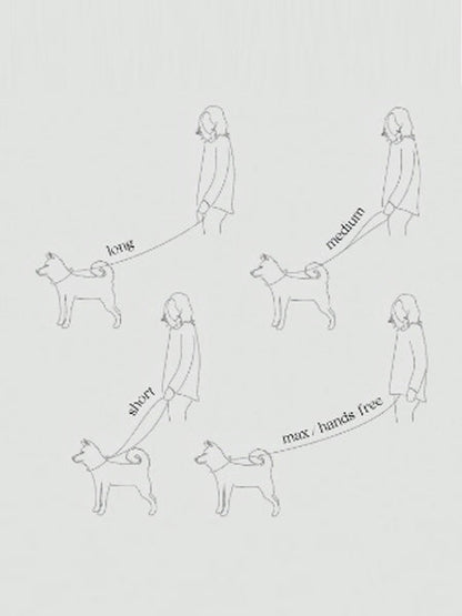 Laisse waterproof MELLEM X pour chien - Dunes - Lambwolf Collective