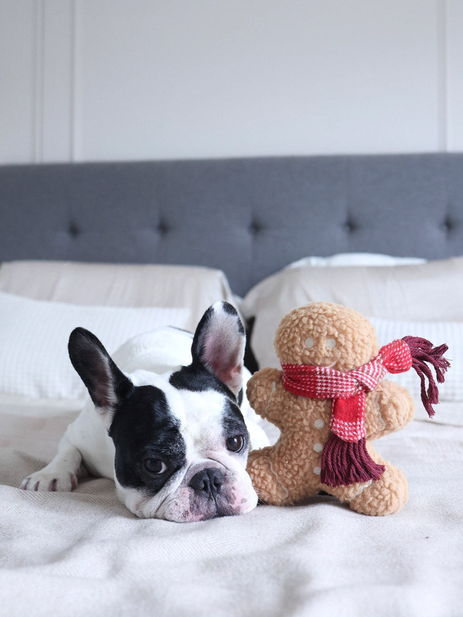 Jouet en peluche pour chien