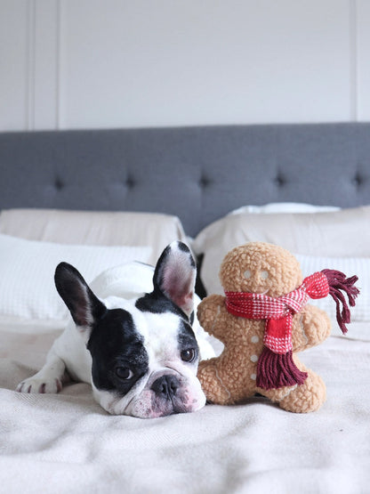Jouet en peluche pour chien