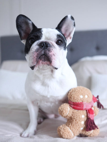 Jouet en peluche pour chien