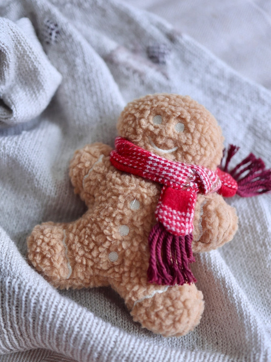 Jouet en peluche pour chien