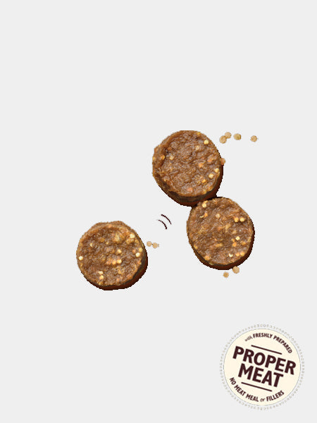 Friandises sans céréales pour chien