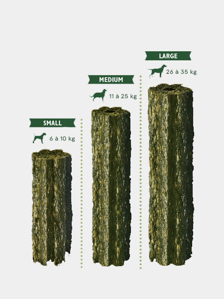 Stick dentaire pour chien