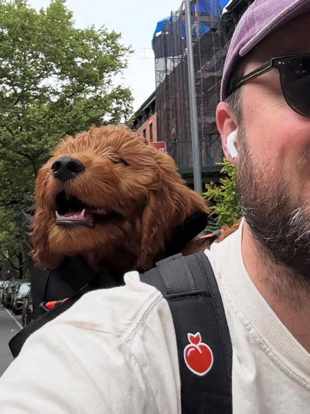 Little Chonk - Sac de transport pour chien - Maxine One