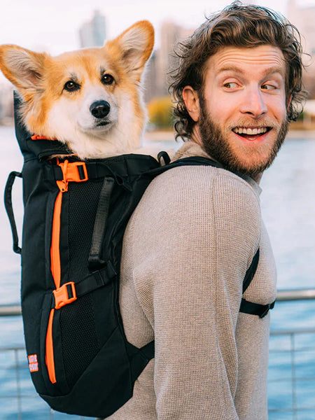 Little Chonk - Sac de transport pour chien - Maxine One