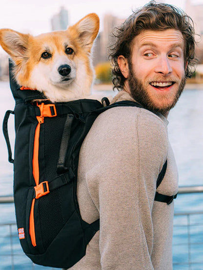 Little Chonk - Sac de transport pour chien - Maxine One