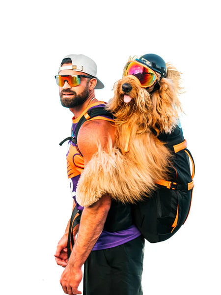 Little Chonk - Sac de transport pour chien - Brodie One