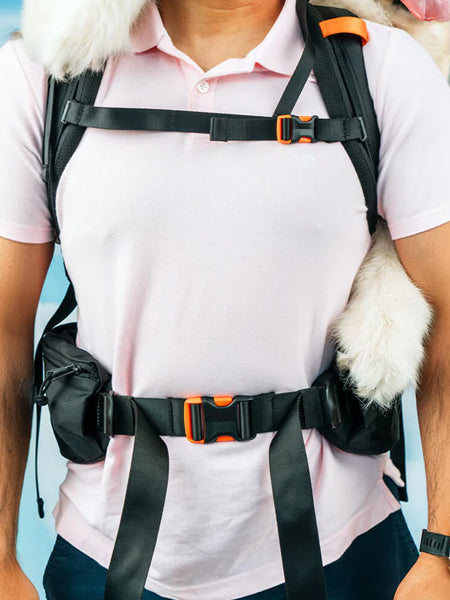 Little Chonk - Sac de transport pour chien - Brodie One