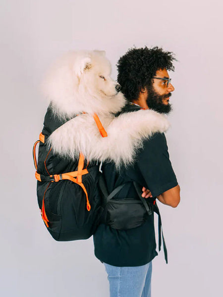 Little Chonk - Sac de transport pour chien - Brodie One