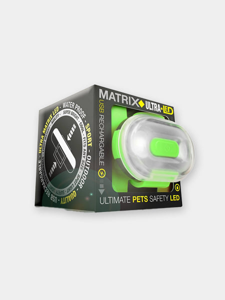 Lumière haute visibilité pour chien - Max & Molly - Sangle Verte