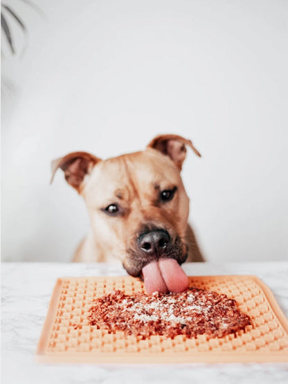 Topping à saupoudrer pour Chien - Foie de boeuf 🐄 - Mr Bones
