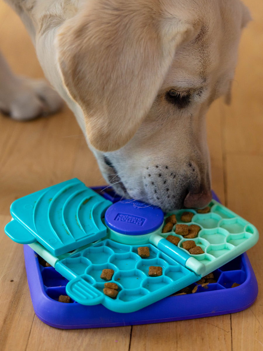 Plateau d'enrichissement pour chien - Lick n' Flip - Outward Hound