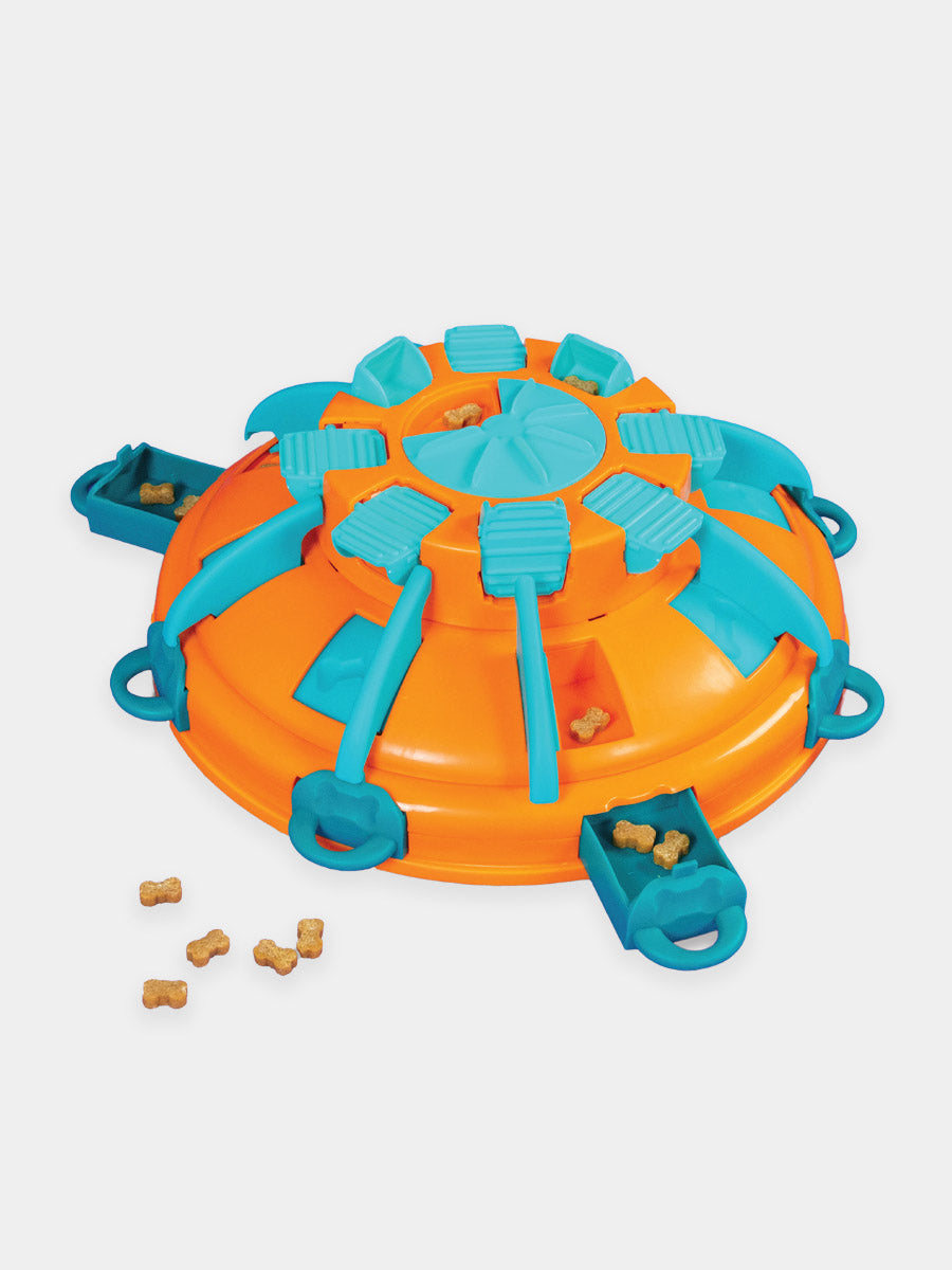 Jouet interactif pour chien