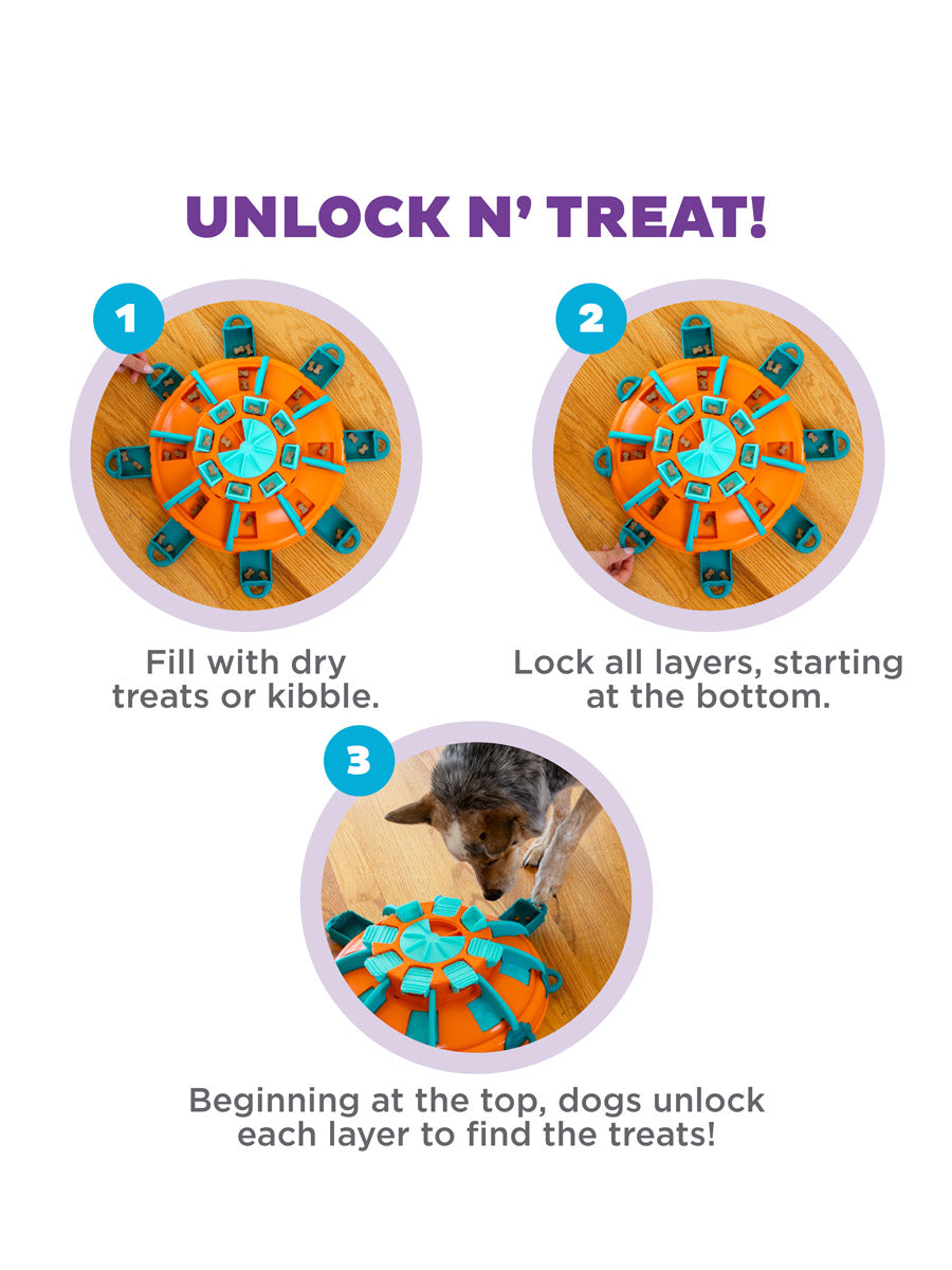 Jouet interactif pour chien