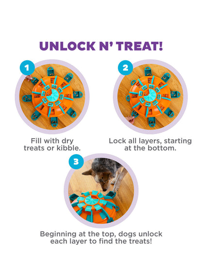 Jouet interactif pour chien