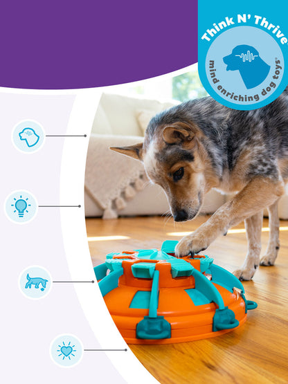 Jouet interactif pour chien