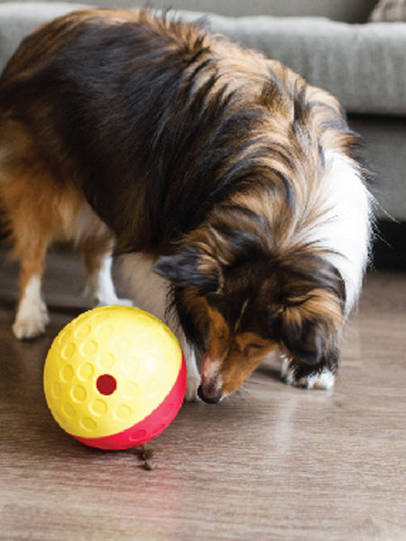 Jouet interactif / puzzle pour chien - Treat Tumble L - Niveau 1